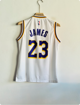 LOS ANGLES LAKERS LEBRON JAMES SLEEVELESS PREMIUM