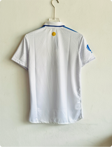 INDIA CRICKET TEST JERSEY POLO EMBROIDERY PREMIUM